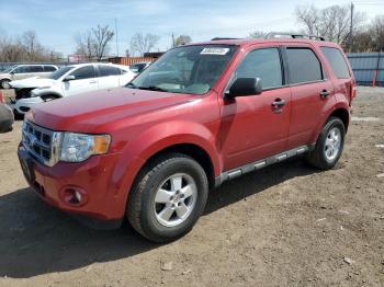  Salvage Ford Escape