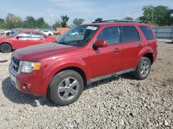 Salvage Ford Escape