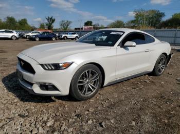  Salvage Ford Mustang