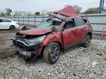  Salvage Honda Crv