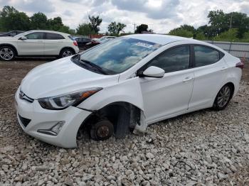  Salvage Hyundai ELANTRA
