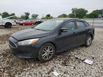  Salvage Ford Focus