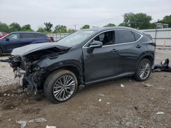  Salvage Lexus NX