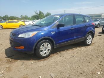  Salvage Ford Escape