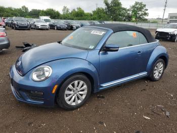  Salvage Volkswagen Beetle