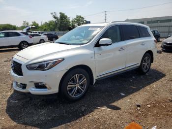  Salvage INFINITI Qx