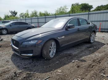  Salvage Jaguar XF