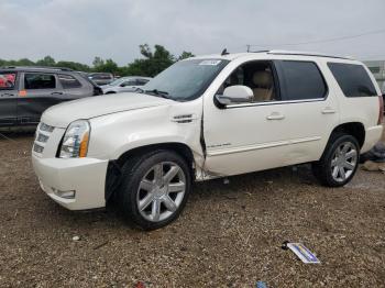  Salvage Cadillac Escalade