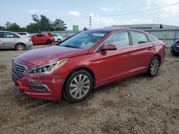  Salvage Hyundai SONATA