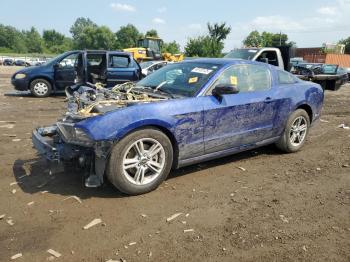  Salvage Ford Mustang