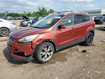  Salvage Ford Escape