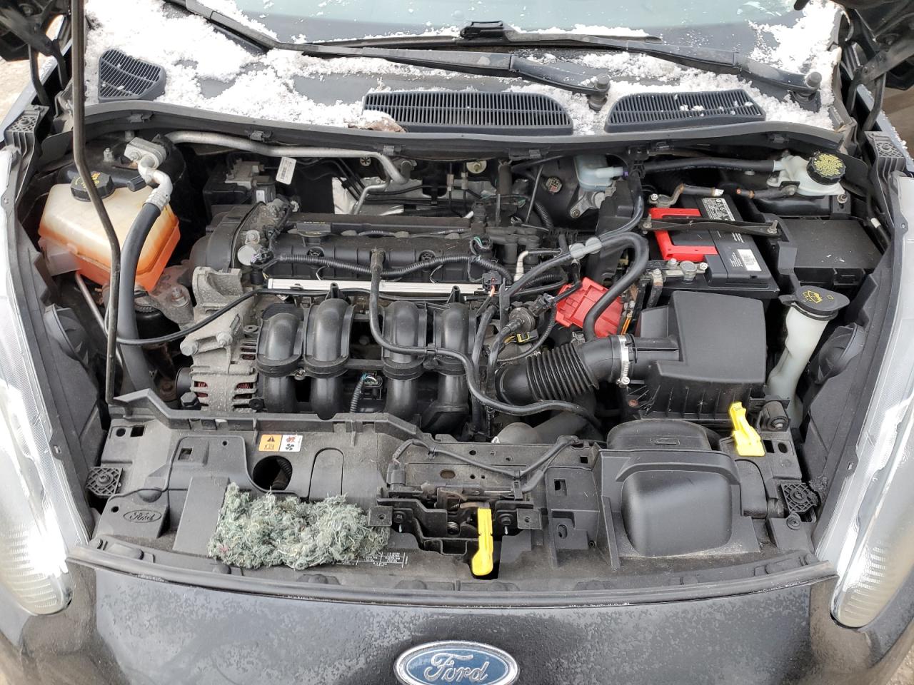 Ford Fiesta Se Image 11