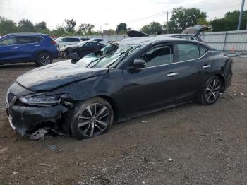  Salvage Nissan Maxima