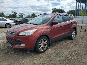  Salvage Ford Escape