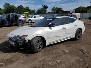  Salvage Nissan Maxima