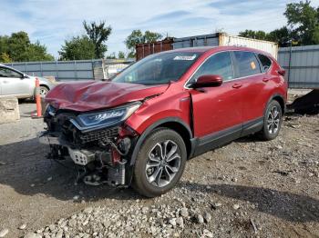  Salvage Honda Crv