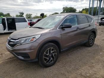  Salvage Honda Crv
