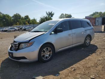  Salvage Honda Odyssey