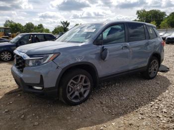  Salvage Honda Passport