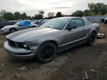  Salvage Ford Mustang
