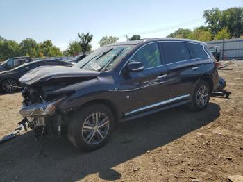 Salvage INFINITI Qx
