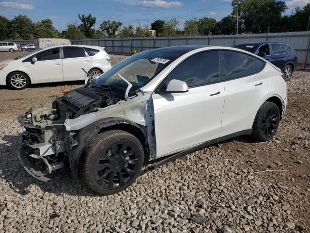  Salvage Tesla Model Y