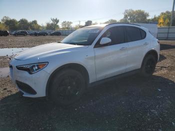  Salvage Alfa Romeo Stelvio
