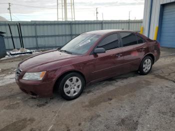  Salvage Hyundai SONATA