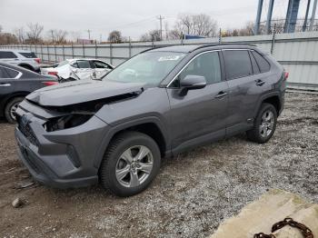  Salvage Toyota RAV4