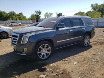  Salvage Cadillac Escalade