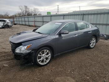  Salvage Nissan Maxima