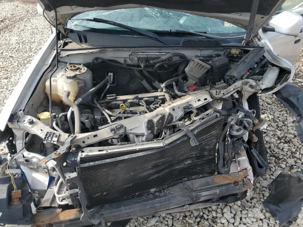 Ford Escape Limited Image 5