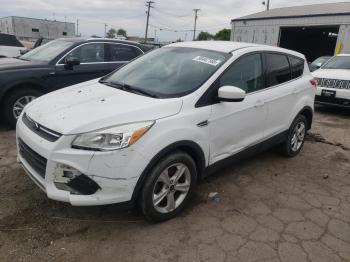  Salvage Ford Escape