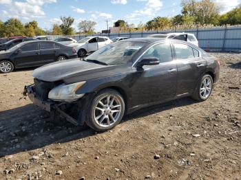  Salvage Nissan Maxima