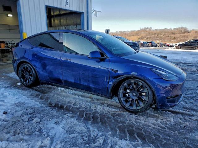 Tesla Model Y Image 3