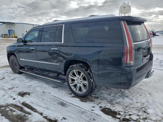 Cadillac Escalade Esv Premium Image 2