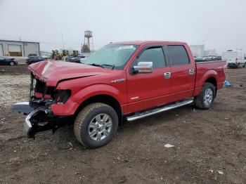  Salvage Ford F-150