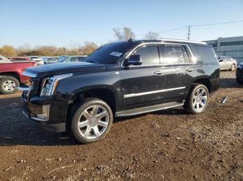  Salvage Cadillac Escalade