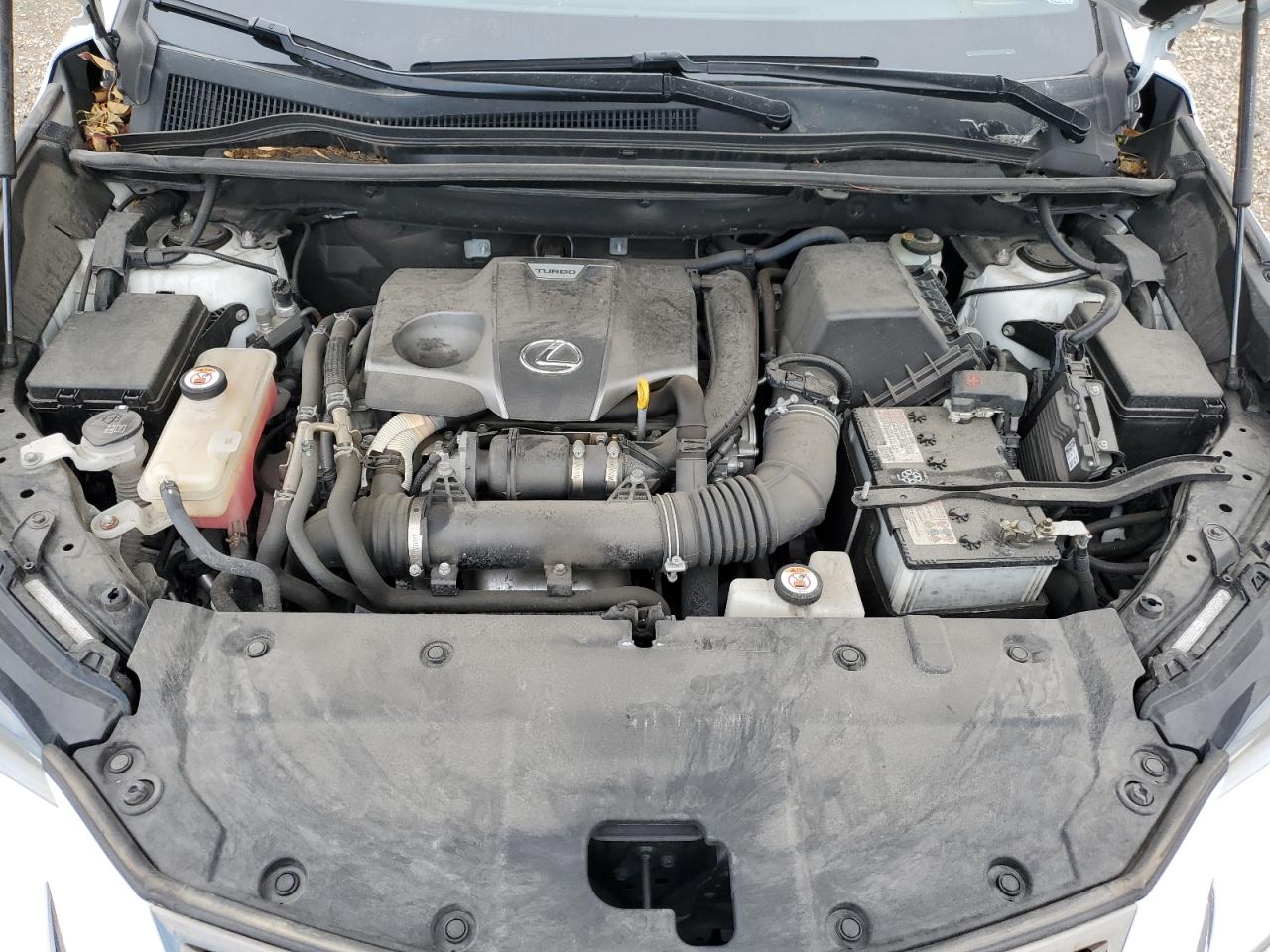 Lexus NX 300 F Sport Image 10