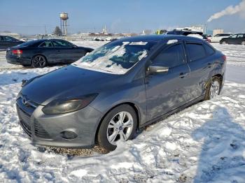  Salvage Ford Focus