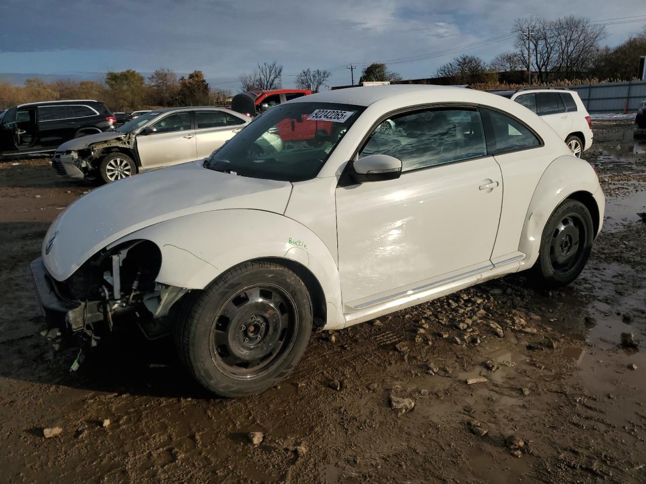 Volkswagen Beetle Image 1