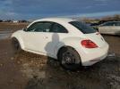 Volkswagen Beetle Image 7