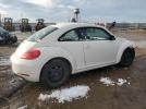 Volkswagen Beetle Image 6