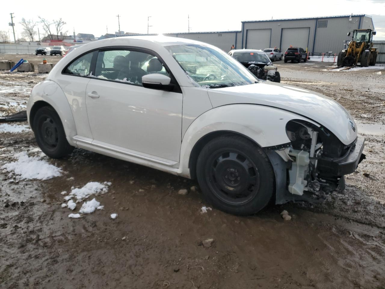 Volkswagen Beetle Image 8