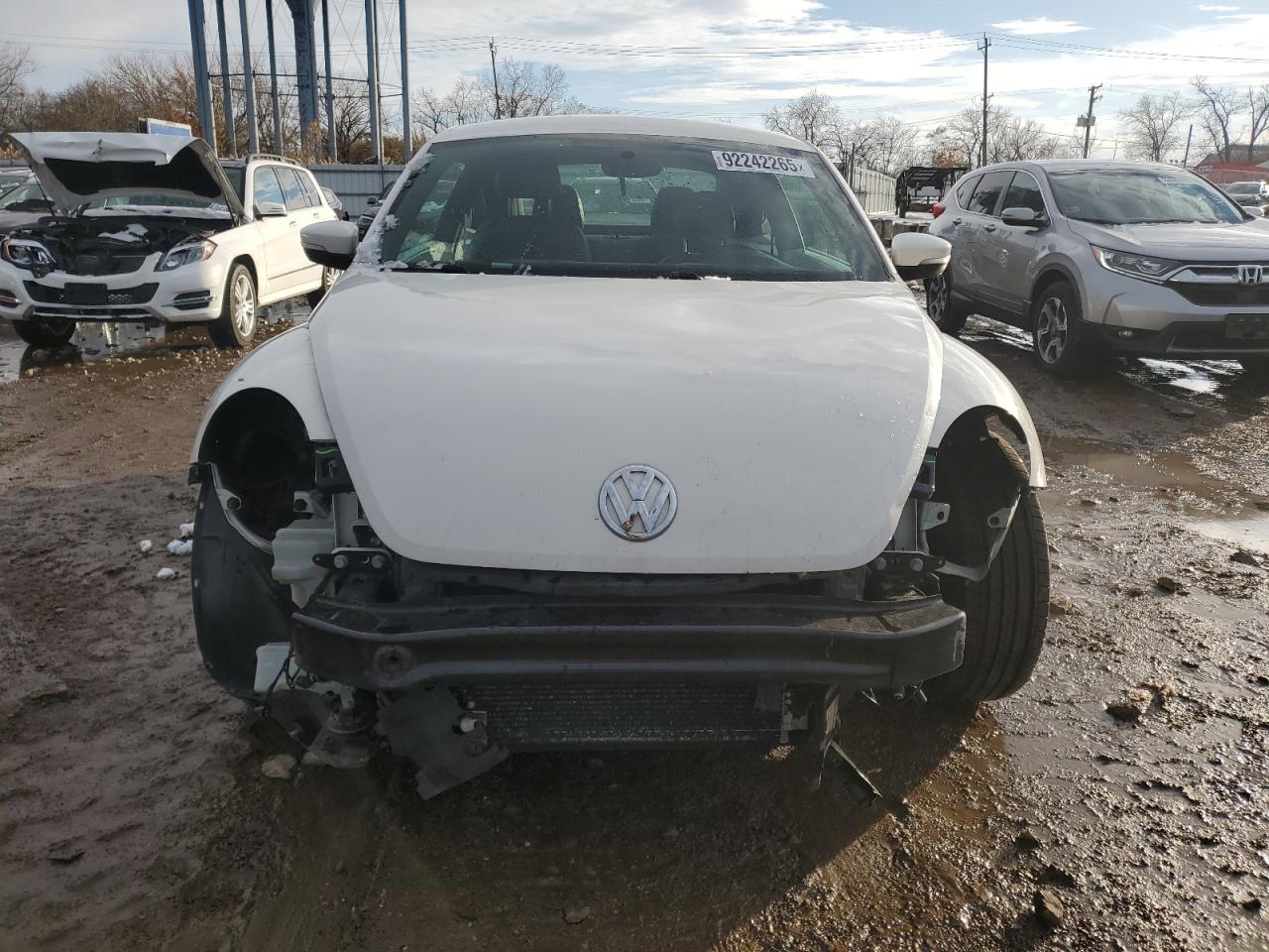 Volkswagen Beetle Image 5