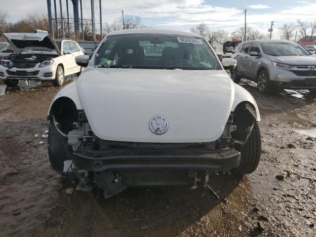 Volkswagen Beetle Image 5