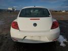 Volkswagen Beetle Image 10