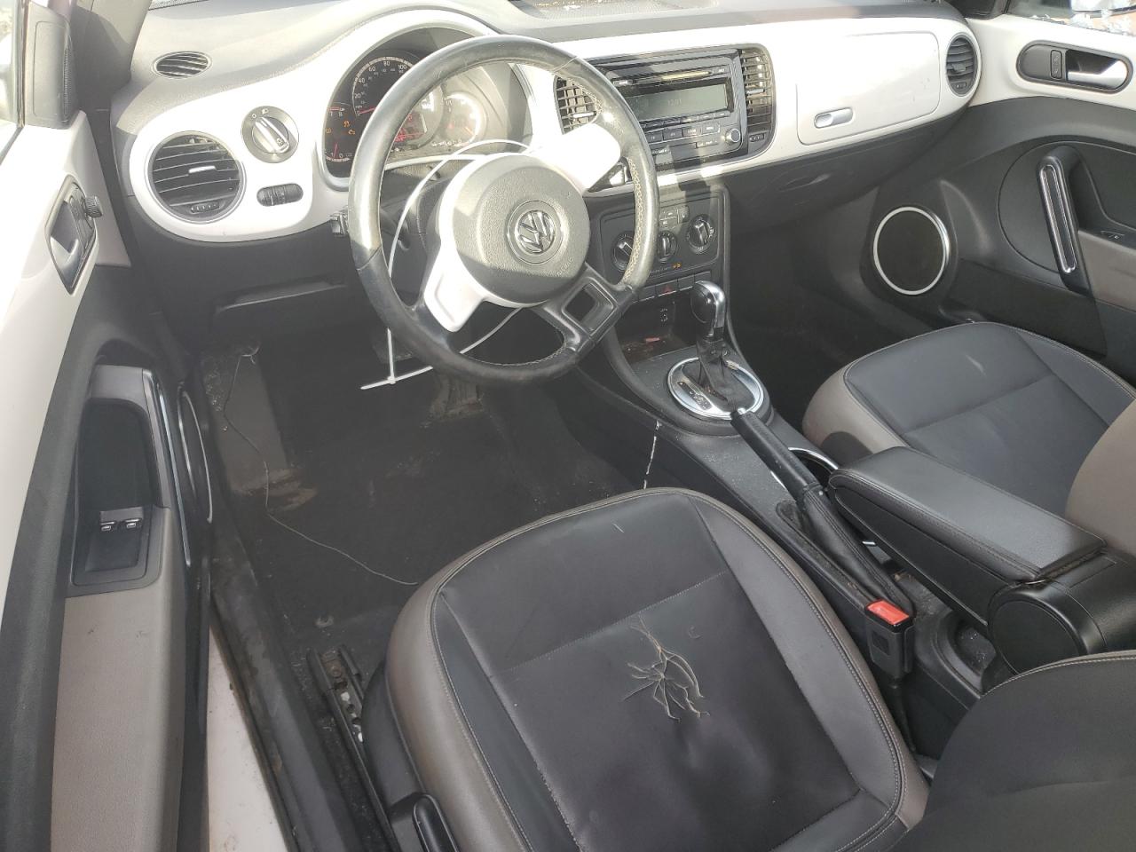 Volkswagen Beetle Image 12