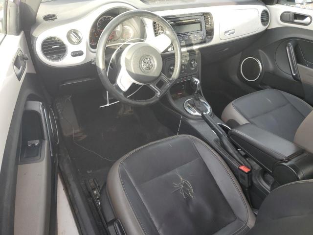 Volkswagen Beetle Image 12