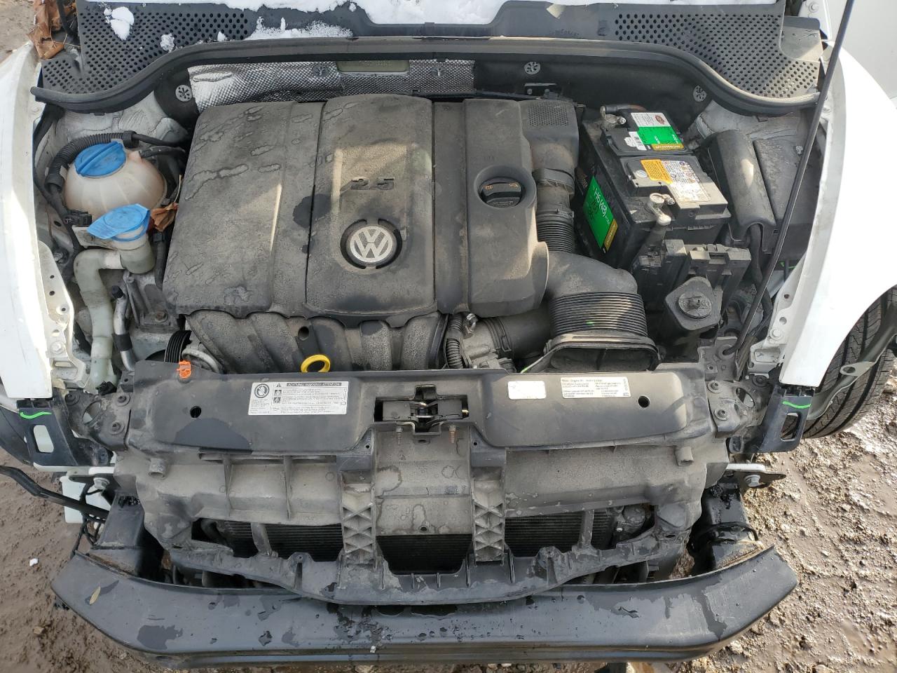 Volkswagen Beetle Image 9